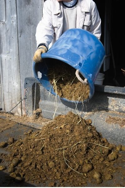 Horse Stall Enrichment, Stall Bedding, Horse Stall Ideas, Equine Enrichment, Horse Enrichment, Pasture Shelter, Horse Bedding, Horse Stall, Best Bedding