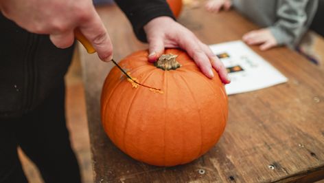 Make Pumpkins Last Longer, How To Preserve Pumpkins, Preserve Pumpkins, Preserving Pumpkins, Pumpkin Vase, Pumpkin House, Bob Vila, How To Make Pumpkin, Pumpkin Faces