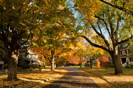 Newton, Massachusetts 2006 Waltham Massachusetts, Newton Massachusetts, Best Time To Buy, Quad Cities, Fall Sale, College Town, Fall Day, Types Of Houses, The Seasons