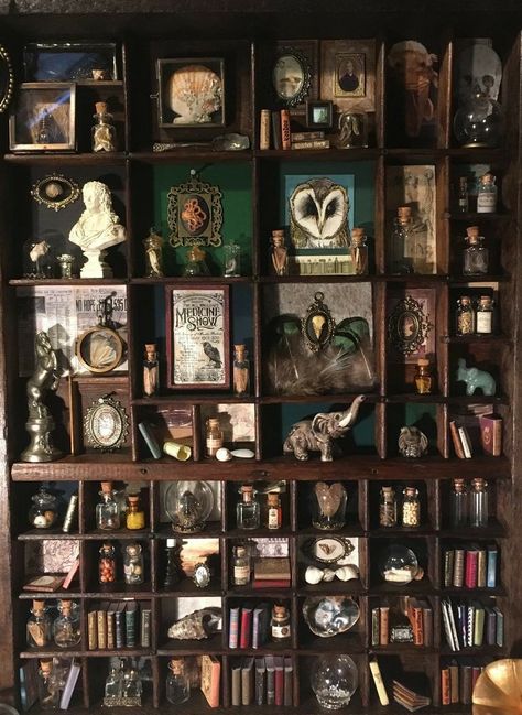 Curio Cabinet Styling Ideas, Dark Old World Decor, Dark Witch Decor, Gothic Library Decor, Capturing Home Show, Dark Academia Shelves, Witchy Shadow Box Ideas, Displaying Crystals In Home, Dark Academia Classroom Aesthetic