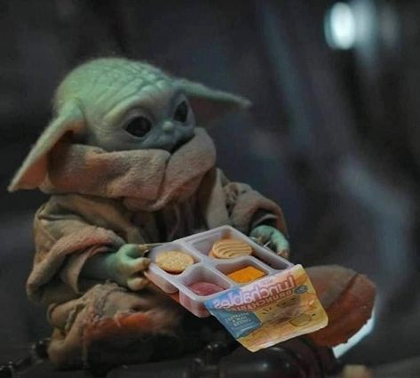 Yoda Pictures, Yoda Art, Yoda Images, Star Wars Meme, Yoda Wallpaper, Yoda Funny, Star Wars Love, Star Wars Jokes, Star Wars Yoda