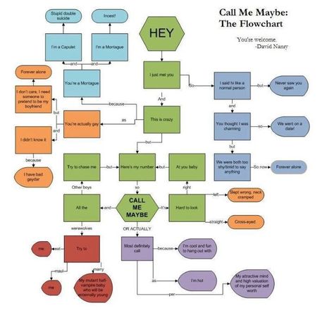 Call me maybe: The Flowchart Funny Flow Charts, Flow Charts, Call Me Maybe, Bad Memes, Flow Chart, Decision Making, Clue, Go Out, Hand Sanitizer