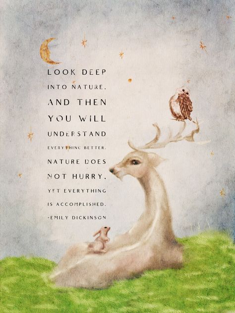 Quotes By Emily Dickinson, Cottage Core Lifestyle, Rabbit Cottagecore, Cottagecore Quotes, Animal Poetry, Twilight Meadow, Deer Quotes, Thoughtful Tuesday, Cottagecore Artwork