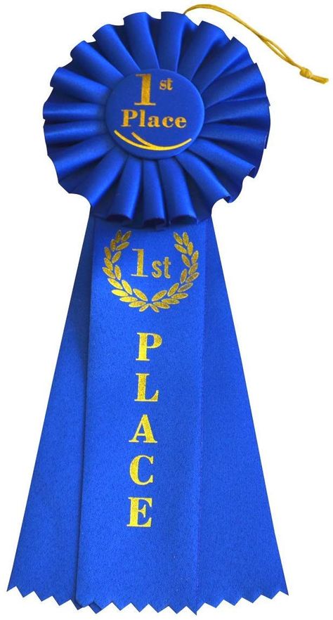 1st Place Ribbon, First Place Ribbon, Blue Ribbon Award, Horse Items, 2023 Journal, Rosette Ribbon, Ribbon Award, Kentucky Derby Party Food, Just Married Banner