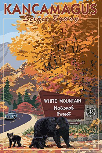 Park Entrance, Black Bear Cub, White Mountain National Forest, Mountain Park, Travel Artwork, Bear Family, Shenandoah National Park, Retro Travel Poster, Great Smoky Mountains National Park