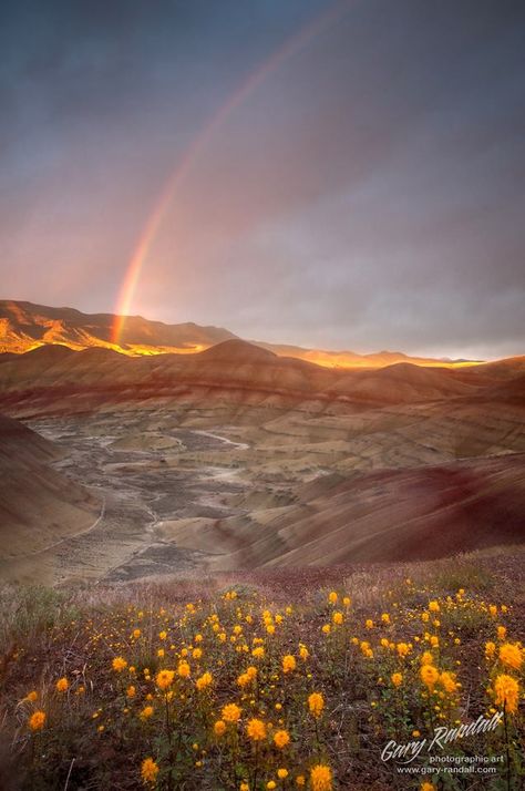 Painted Hills Oregon, Visit Oregon, Oregon Life, Oregon Living, Painted Hills, Eastern Oregon, Central Oregon, Best Sunset, Summer Road Trip