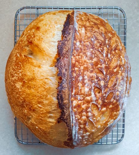 Basic Country Sourdough Loaf - Courtney Made Sourdough Country Loaf, Large Sourdough Loaf, Assorted Breads, Sourdough Loaf, Sourdough Recipe, Bread Lame, Homemade Bread Easy, Bread Easy, Large Oven