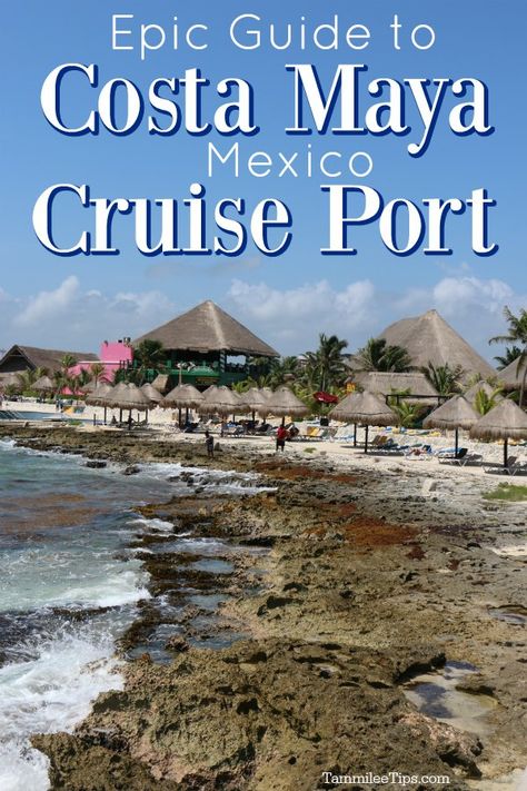 Puerto Costa Maya, Costa Maya Cruise Port, Mazatlan Cruise Port, Puerto Costa Maya Mexico, Cozumel Mexico Cruise, Belize City Cruise Port, Princess Cruises Caribbean, Costa Maya Excursions, Puerta Costa Maya