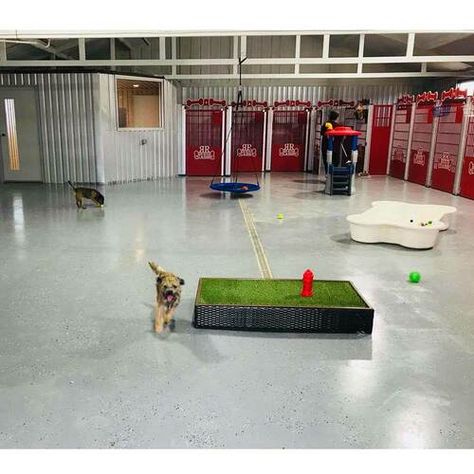 Training Facility Design, Dog Training Facility, Luxury Dog Kennels, Custom Dog Kennel, Fancy Bed, Airline Pet Carrier, Yard Area, Dog Hotel, Project Red