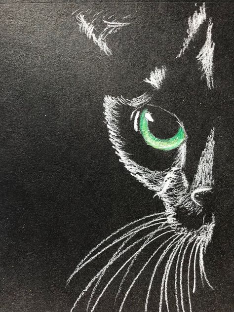 Cat Drawing On Black Paper, Cat Eye Embroidery, Drawing Ideas For Black Paper, Cat Eye Painting, Cat Eye Art, Cat Eye Drawing, Drawings On Black Paper, Black Cat Embroidery, Unusual Animal Friendships