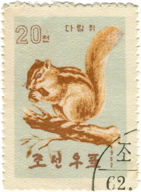 North Korea postage stamp: chipmunk by karen horton, via Flickr طوابع بريد, Postage Stamp Design, طابع بريدي, Postal Vintage, Old Stamps, Postage Stamp Art, A Squirrel, Vintage Postage Stamps, Vintage Postage