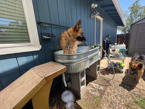 Backyard Dog Washing Station, Outside Dog Washing Station, Outdoor Dog Bath, Outdoor Dog Wash, Diy Dog Bath, Farm Stead, Dog Washing Station Outdoor, Muffin Ideas, Dog Bathing Station