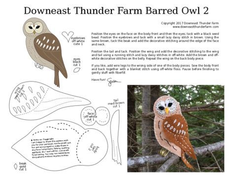 Downeast Thunder Farm Woodland Barred Owl Making Felt, Felt Birds Ornaments, Felt Craft Projects, Felt Ornaments Patterns, Short Eared Owl, Burrowing Owl, Felt Owl, Barred Owl, Bird Quilt