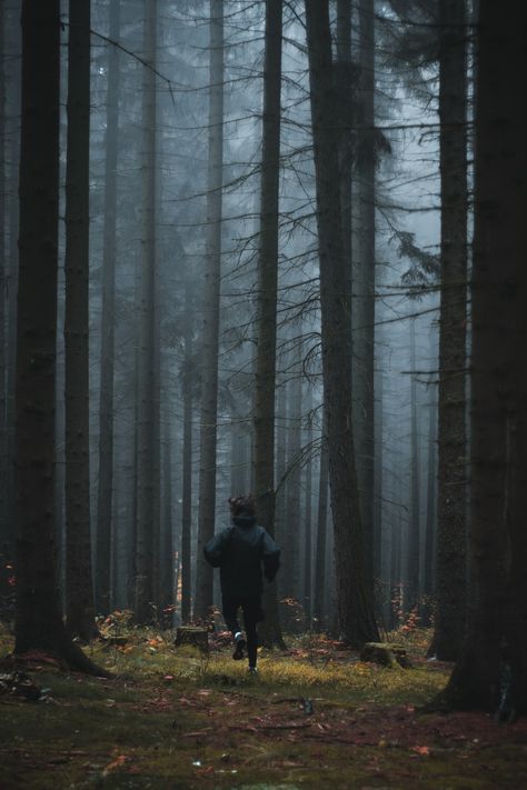 person running in forest trees with mist photo – Free Tree Image on Unsplash Creepy Photography, Person Running, Dark Naturalism, Dark Forest Aesthetic, Half Elf, Foggy Day, Dream Symbols, Dream Interpretation, The Fog