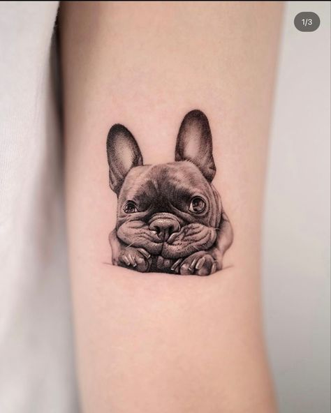 Pet Portrait Tattoos, Tortoise Tattoo, France Tattoo, French Bulldog Tattoo, Bulldog Tattoo, Portrait Tattoos, French Bulldog Art, Dog Line Art, Bulldog Francese