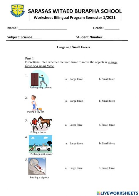 Force Worksheet, Force Activities, Birthday Card Craft, Grade 3, 2nd Grade, Grade 1, Card Craft, Birthday Cards, Force