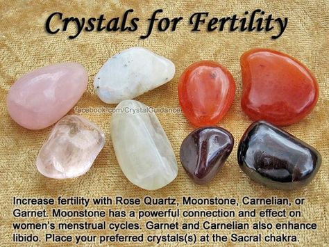 Fertility: rose quartz, moonstone, carnelian, garnet Crystals For Fertility, Fertility Crystals, The Crystals, Crystal Therapy, Crystal Healing Stones, Crystal Magic, Rocks And Gems, Crystal Grid, Energy Crystals