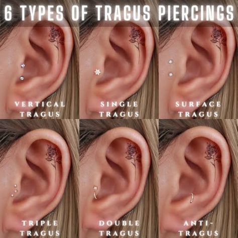 Earrings Placement, Double Tragus Piercing, Impuria Ear Piercing, Double Tragus, Surface Tragus, Tragus Earrings Hoop, Anti Tragus Piercing, Piercing Chart, Ear Piercing Jewelry