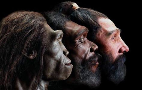 Image of reconstructed faces of three early humans in profile view. White skin is only 8000 years old. Homo Habilis, Ancient Astronaut Theory, Facial Reconstruction, Better Vision, Ancient Astronaut, Early Humans, Human Evolution, Natural Selection, Ancient Origins