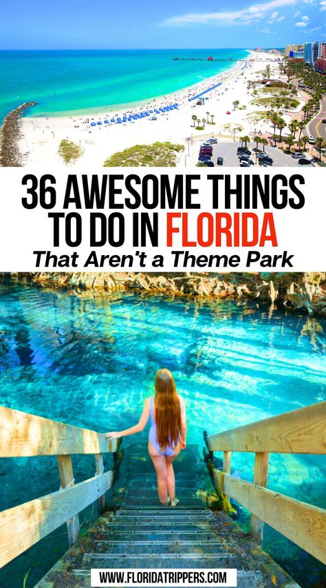 36 Awesome Things to do in Florida That Aren't a Theme Park Florida Must Do Bucket Lists, Florida Bucket List Things To Do, Free Things To Do In Florida, Must See Places In Florida, What To Do In Florida, Florida Adventures Bucket Lists, Places To Go In Florida, Florida Bucket List, Springs In Florida