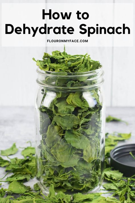 How to dehydrate fresh spinach and make it last up to a year. Pack your pantry with dried fresh fruits and vegetables. Dehydrate Spinach, How To Store Spinach, Dehydrator Recipes Fruit, Spinach Powder, Dehydrating Food Storage, Spinach Healthy, Food Dehydration, Recipes Fruit, Dehydrated Foods