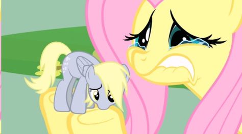 Fluttershy and derpy Fluttershy And Derpy, Derpy And Fluttershy, Apple Jack And Fluttershy, Happy Fluttershy, Fluttershy Banner, Bora Bill, Mlp Fluttershy, Bee Icon, Mlp Memes