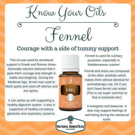 Know Your oils Fennel Young Living Essential oils oil #teamyl #youngliving #fennel #essentialfamilies #digestiveoils #yl #yleo #sprucehillhomestead Young Living Essential Oil Diffuser, Fennel Oil, Fennel Essential Oil, Essential Oil Companies, Essential Oil Diffuser Blends Recipes, Young Living Essential Oils Recipes, Yl Essential Oils, Essential Oil Blends Recipes, Herbal Healing