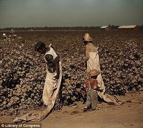 Day laborers picking cotton, near Clarksdale, Miss. 1939 Nov. Cotton Plantations, Southern Photography, Mississippi Delta, Deep South, Colour Photograph, African American History, Library Of Congress, Best Photographers, Women In History