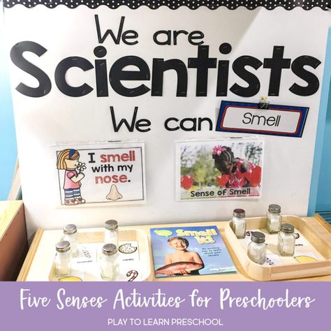 Eceap Preschool Classroom, Daycare Science Center, We Are Scientists Preschool, Prek Science Centers, Discovery Center Preschool Ideas, Science Area Preschool Classroom, Toddler Science Center, Five Senses Activities For Preschoolers, 5 Senses Activities For Preschoolers