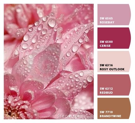 Paint colors from ColorSnap by Sherwin-Williams Pink Era, Tout Rose, I Believe In Pink, Pink Petals, Rosa Pink, Perfect Pink, Tickled Pink, Water Droplets, Everything Pink