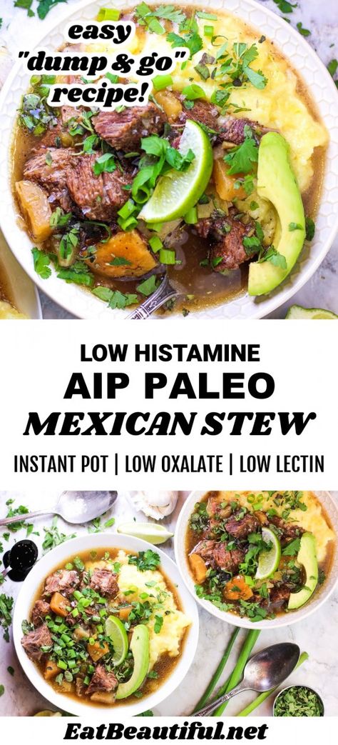 AIP Mexican Stew (Low Histamine, Low Oxalate, Low Lectin, Instant Pot) - Eat Beautiful Low Histamine Aip Recipes, Spring Paleo Recipes, Aip Pork Recipes, Low Histamine Instant Pot Recipes, Stampede Soup Recipe, Low Histamine Soup Recipes, Aip Beef Recipes, Aip Soups And Stews, Aip Slow Cooker Recipes