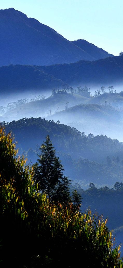 Munnar Hill Station, Hill Station Wallpaper, Station Photography, Amazing Places On Earth, Munnar, Ocean Wallpaper, Hill Station, India Travel, Amazing Places