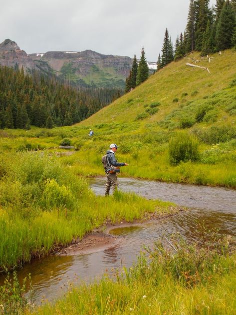 Fresh Water Fishing, Fly Fishing Art, Trout Fishing Tips, Sporting Goods Store, Fishing Photos, Fly Fishing Tips, Offshore Fishing, River Fishing, Fishing Guide