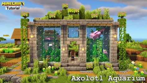 Cute Minecraft Aquarium, Axolotl House Minecraft, Aquarium Minecraft Ideas, Axolotl Minecraft Build, Minecraft Armadillo Enclosure, Minecraft Turtle Enclosure, Aquarium Building, Minecraft Aquarium, Minecraft Axolotl