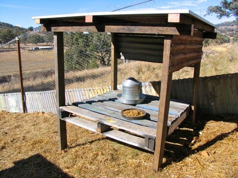 Chicken Feeding Station, Chicken Necessities, Unusual Crafts, Chicken Pens, Micro House Plans, Coop Decor, Pallet Tables, Chicken Coop Decor, Potting Benches