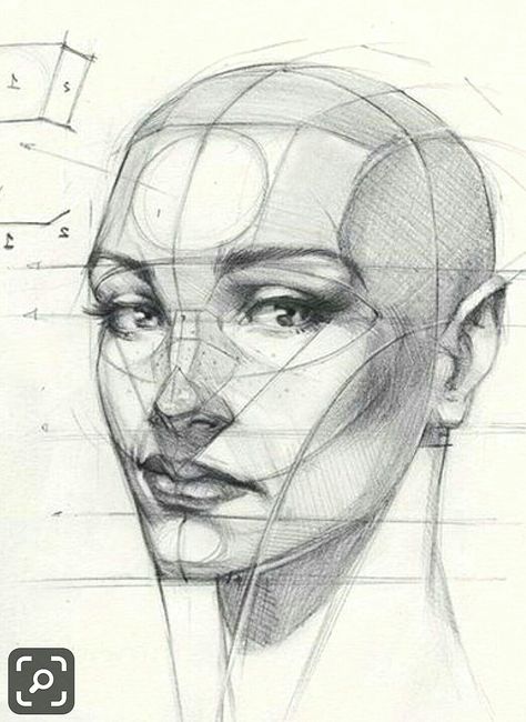 Reilly Head, Imagination Illustration, Drawing Proportions, Portrait Au Crayon, Neck Drawing, Draw Portrait, Face Proportions, Draw Human, Drawing Heads