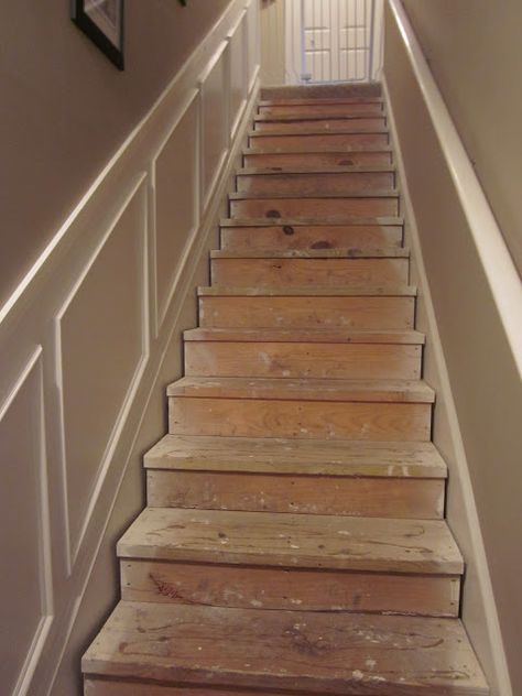 Lipstick and a Brad Nailer ... are the only essentials : Day 1 of Retrofitting Stair Tread Project: Epic Failure Replace Stairs, Lowes Carpet, Pine Stair Treads, Bullnose Carpet Stair Treads, Staircase Contemporary, Wood Stair Treads, Stair Tread Covers, Carpet Treads, Removing Carpet