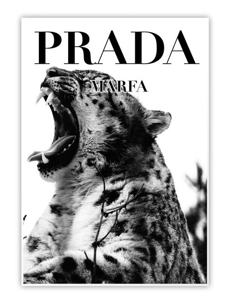 High quality Prada Marfa fashion poster featuring a Cheetah. Check out the rest of the site for similar stylish, high quality and fashionable decor! Prada Poster, Cheetah Poster, Cheetah Pictures, Leopard Print Wallpaper, Posters On Wall Bedroom, Prada Marfa, Vintage Poster Design, Dream Aesthetic, Plakat Design