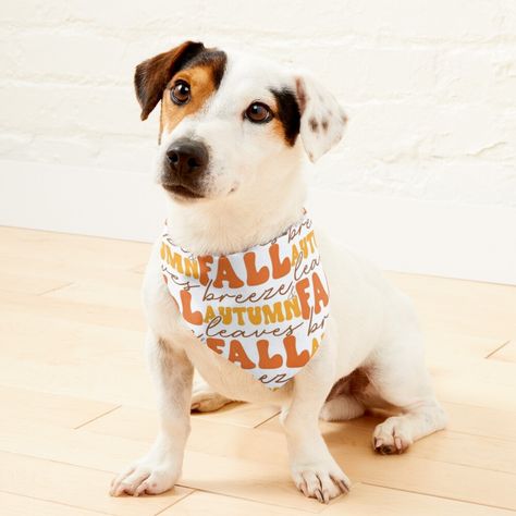 "Fall Breeze & Autumn Leaves" Pet Bandana for Sale by MenteApparel | Redbubble Lazy Halloween, Design Camp, Bandana Design, Pet Scarf, Pet Fashion, First Halloween, Funny Thanksgiving, Animal Birthday, Halloween Boo