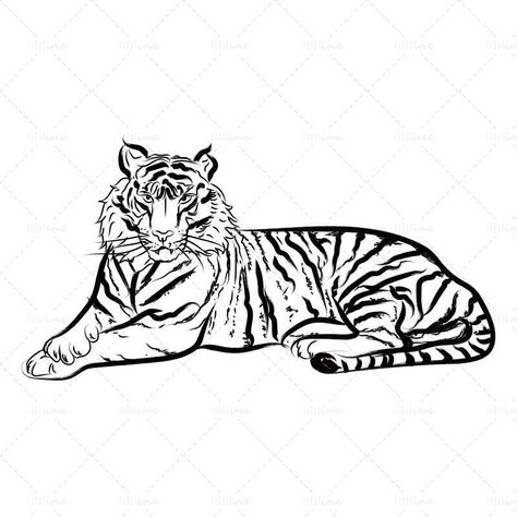 Tiger Lying Down Drawing, Tiger Laying Down Tattoo, Tiger Lying Down, Year Of The Tiger Tattoo, Tiger Drawing, Year Of The Tiger, Natural Women, Tiger Tattoo, Dice Bag