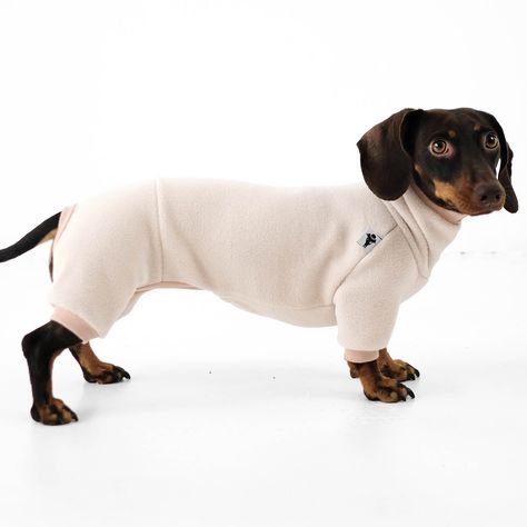 Get the new overalls made of polar fleece - now also available for your dachshund! An absolute must-have with a style suitable for everyday use! Whether in cold or wet weather, in the apartment or on a trip - this overall will keep your dachshund comfortably warm and fits perfectly. Its comfortable cut gives your dog enough freedom of movement. Combine the overalls with raincoats or winter jackets as desired. It is the ideal companion for your everyday walks, where your dachshund can run, jump and even get dirty. The overalls made from high-quality polar fleece are not only durable, but also comfortable and easy to wash. Just like all no name dog brand products that are designed and manufactured with love in Berlin. To have a special fashion moment with your dog, combine the overall with a Dachshund Dog Clothes Sewing Patterns, Dog Brand, Dachshund Clothes, Dog Weight, Daily Walks, Dog Fashion, Dog Branding, Dog Safety, Dog Carrier