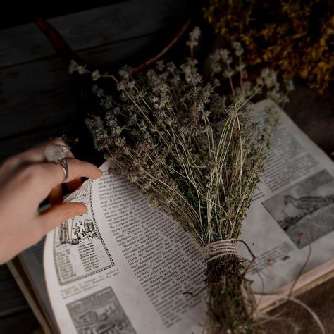 Writing, Flowers