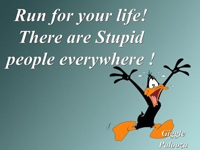 Daffy Duck Quotes, Looney Tunes Funny, Duck Quotes, Quotes Distance, Run For Your Life, Funny Quotes Tumblr, Whatsapp Videos, Funny Shirt Sayings, Lol Funny