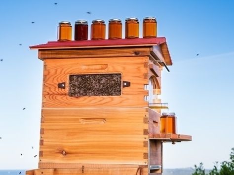 Honey On Tap 🍯 From Your Own Beehive - Flow Hive 🐝 Flow Hive, Bee Hive Plans, Beekeeping For Beginners, Raising Bees, Bee Hives, Cob House, Outdoor Furniture Plans, The Hive, Eco Friendly Living