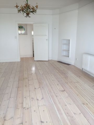 Lime Washed Baltic Pine | Unlimited Floor Finishes Whitewashed Floorboards, White Wash Wood Floors, Wood Floor Restoration, Painted Wooden Floors, White Floorboards, White Washed Pine, White Washed Floors, Pine Wood Flooring, Painted Wood Floors