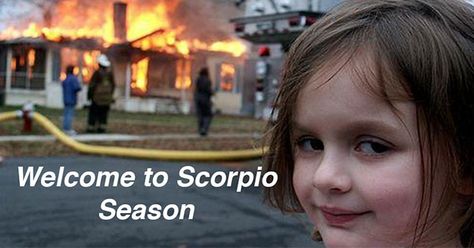 Scorpio Meme, Zodiac Mind Scorpio, Funny Halloween Memes, Lucky Quotes, Zodiac Quotes Scorpio, Aries And Scorpio, Scorpio Girl, Scorpio Zodiac Facts, Typed Quotes