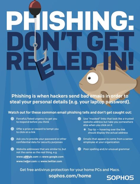 Everything you need to know about ransomware Phishing Poster, Cybersecurity Poster, Phishing Attack, Cybersecurity Infographic, Security Awareness, Digital Security, Infographic Inspiration, Computer Problems, Web Security