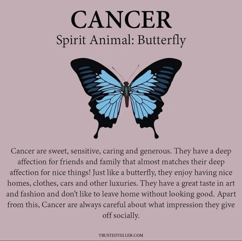 Zodiac Signs Chart, Zodiac Sign Traits, Zodiac Signs Funny, Zodiac Star Signs, Zodiac Art, Zodiac Sign Facts, Zodiac Quotes, Zodiac Facts, Star Signs