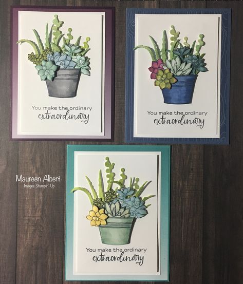 Stampin Up Succulents Cards, Su Simply Succulents, Su Simply Succulents Cards, Stampin Up Succulent Garden Cards, Succulent Cards Handmade, Oh So Succulent Stampin Up Cards, Stampin Up Oh So Succulent, Plentiful Plants Stampin Up Cards, Simply Succulents Stampin Up Cards