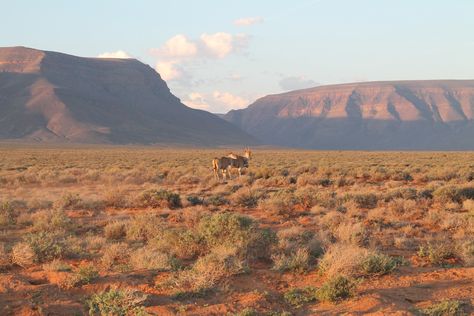 Tankwa Karoo National Park, South Africa Karoo South Africa, South African Landscapes, Safari Lodge Interior, Karoo Landscape, Lodge Interior Design, Progressive Dinner, Landscape Reference, Artwork Inspiration, South Africa Travel